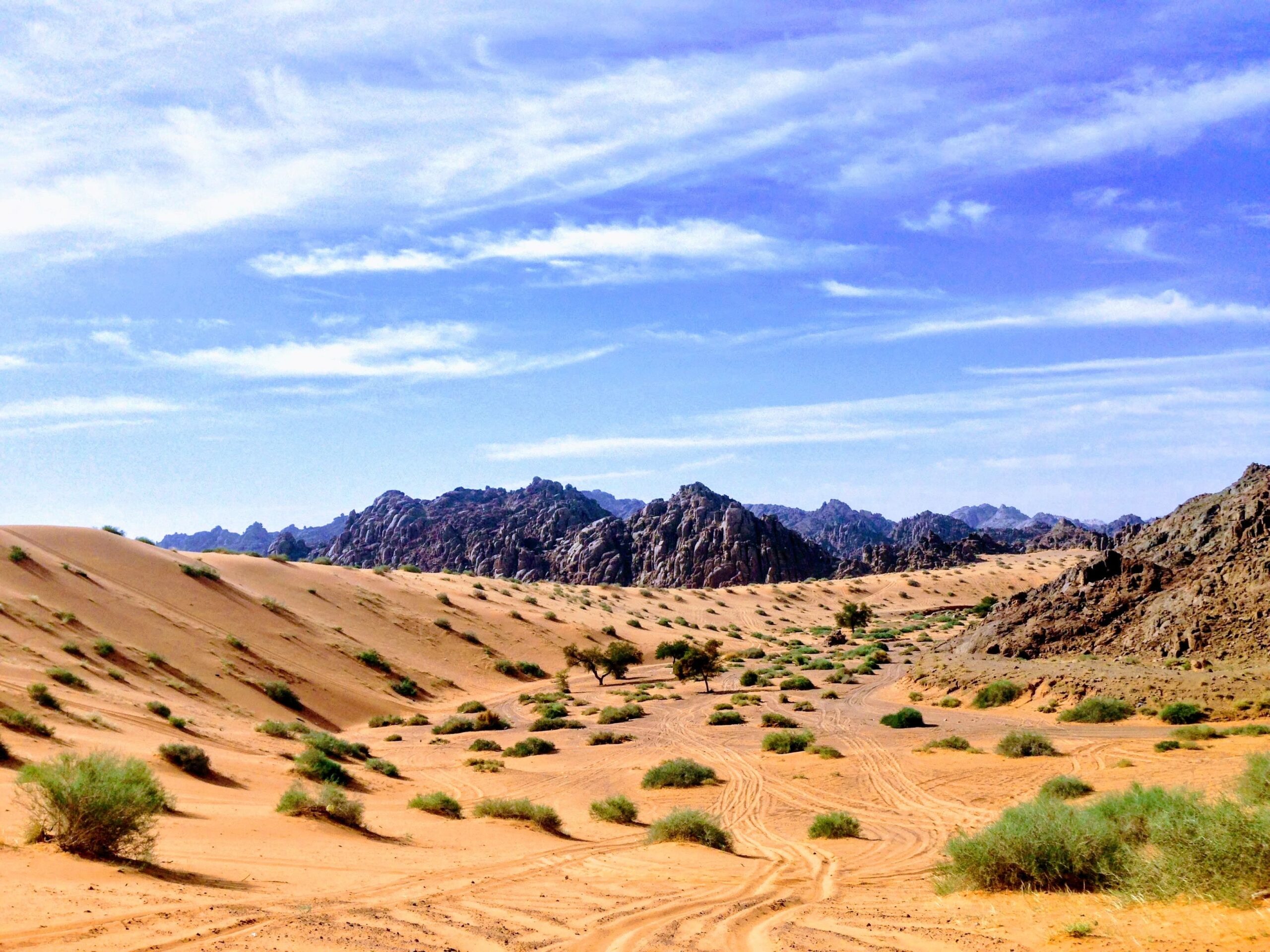 Al Nefud desert, Naylat, Hail, Arabian peninsula, (Saudi Arabia), Saudi Arabia