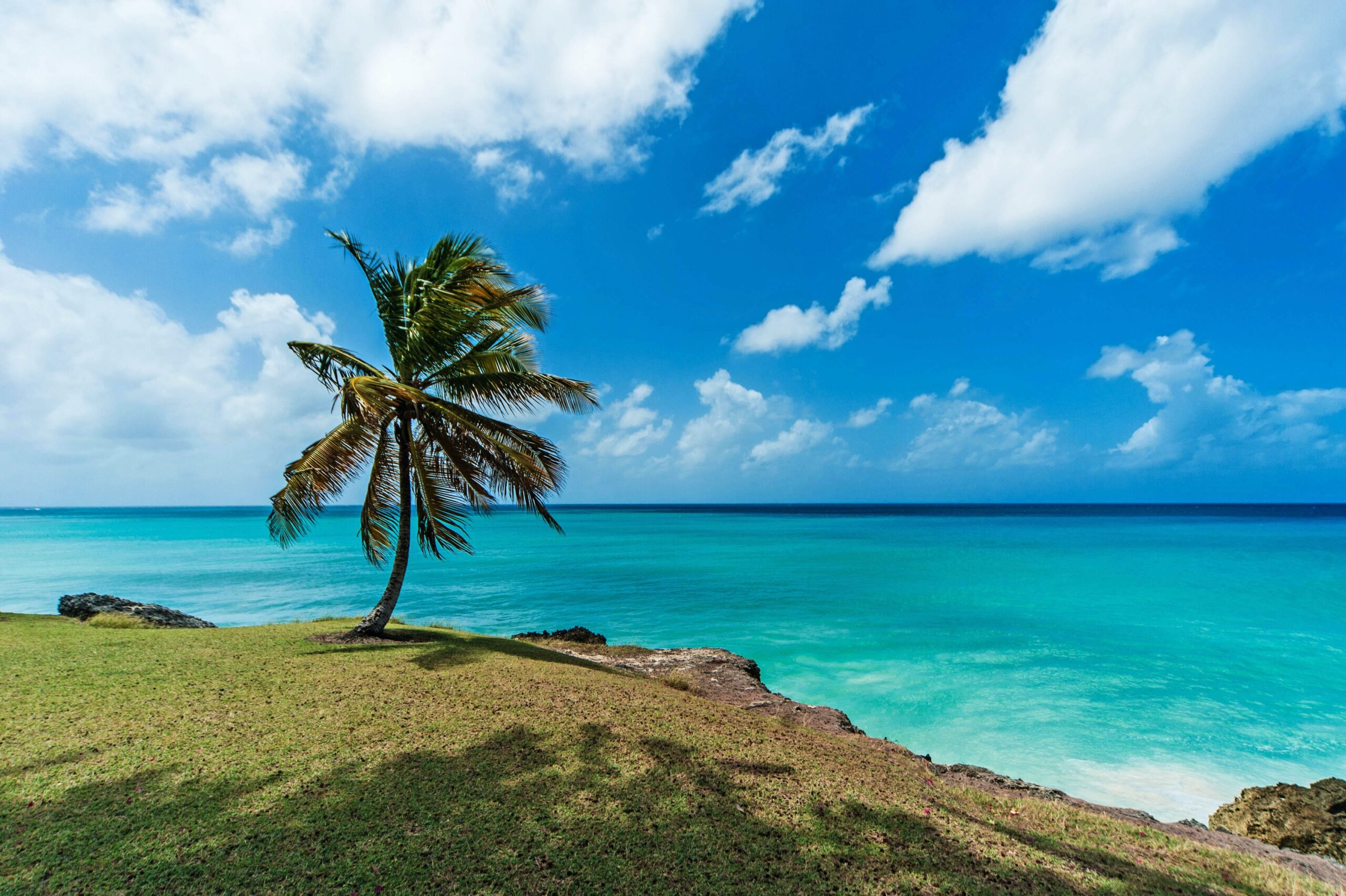 Barbados (20)