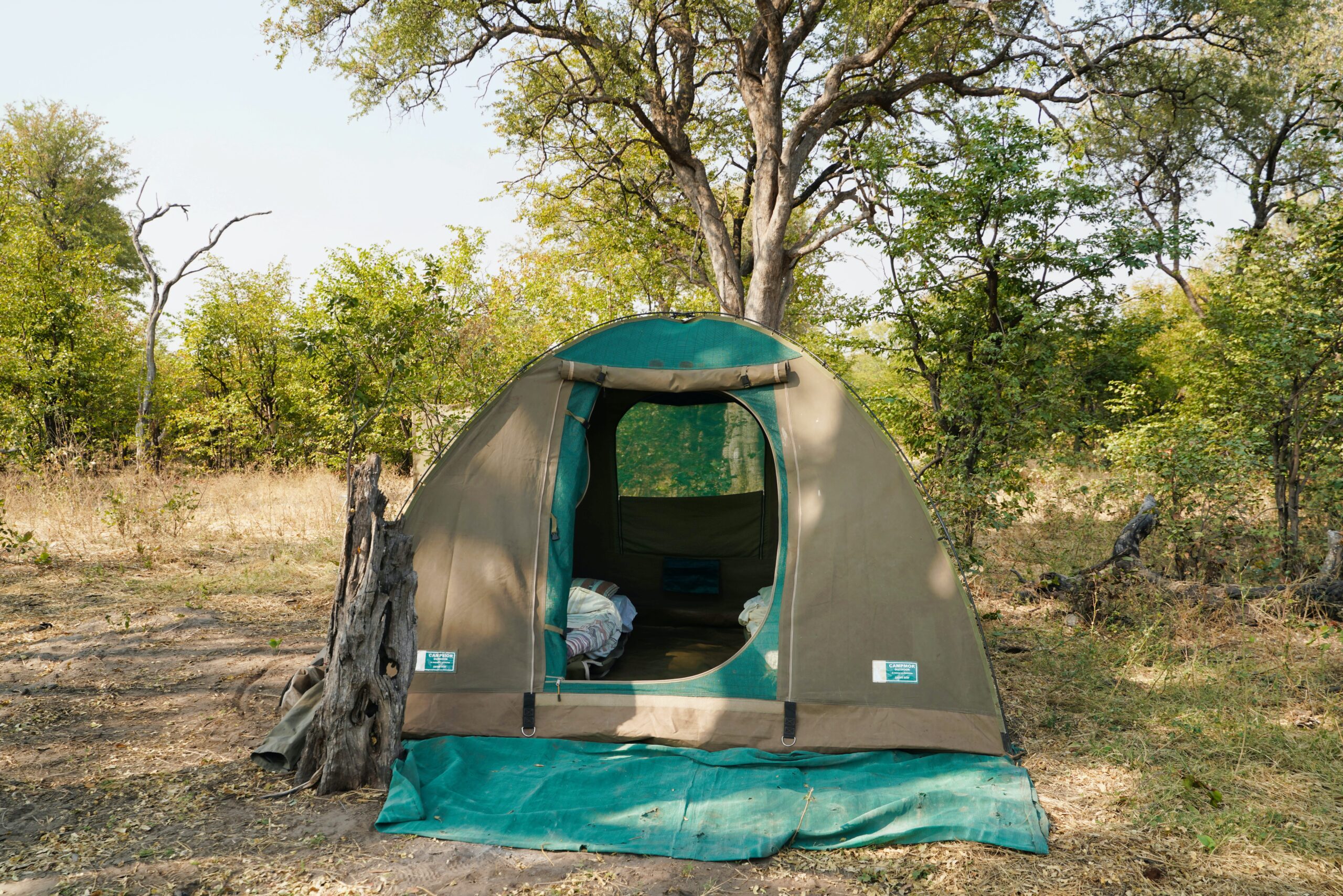 Camp-out in the forest of Okavango Delta, Bostwana
