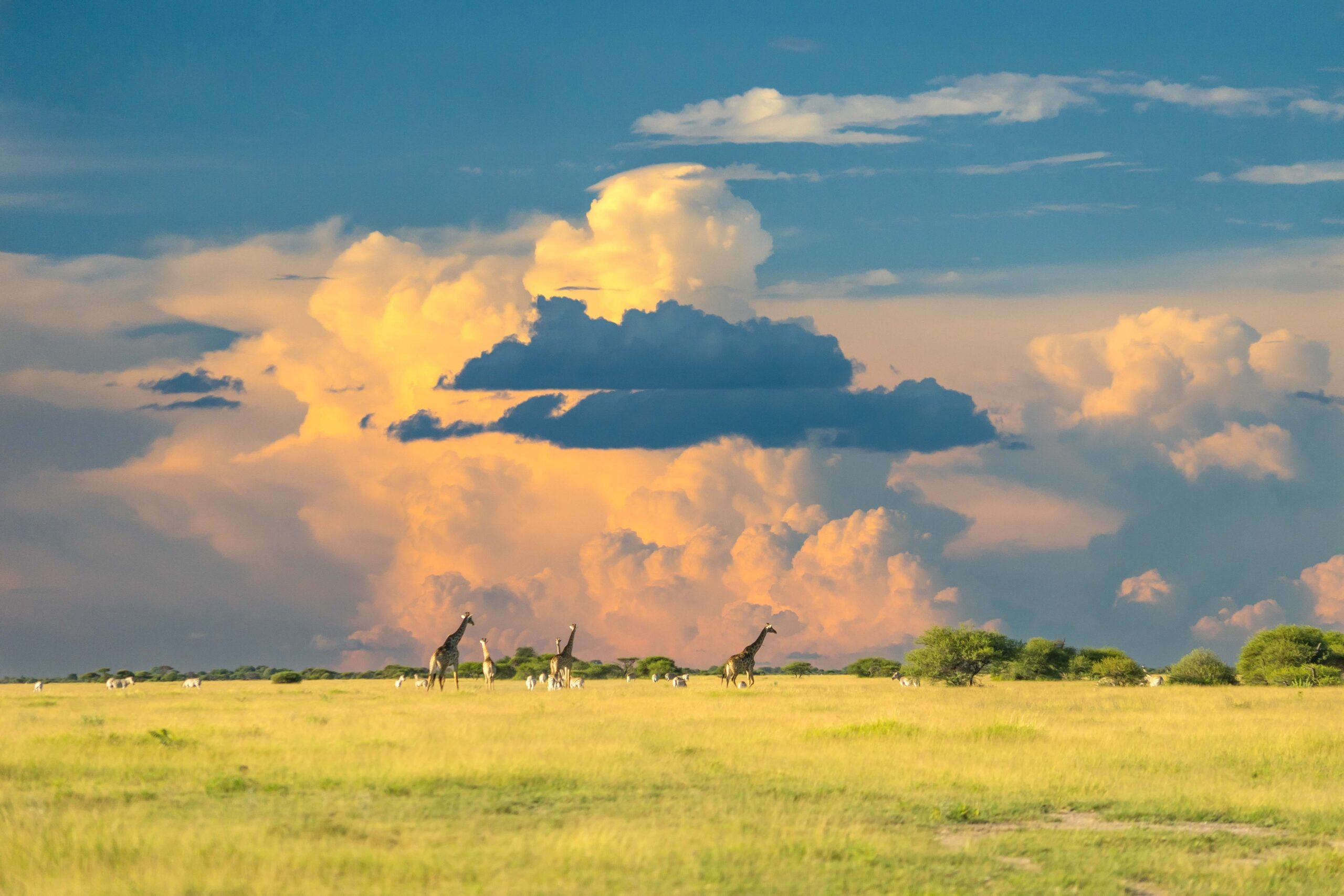 Clouds just before sunset, Botswana