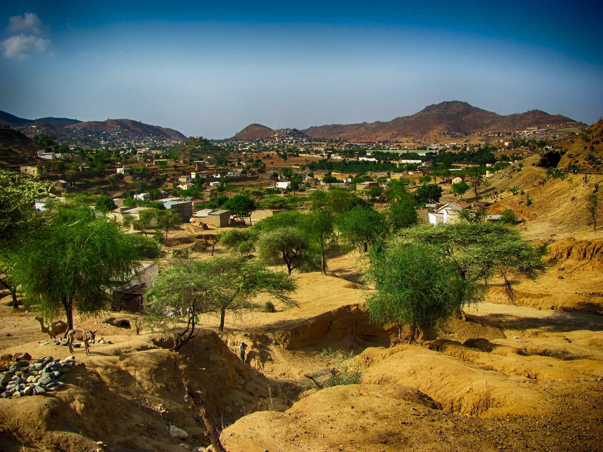 Eritrea (9)