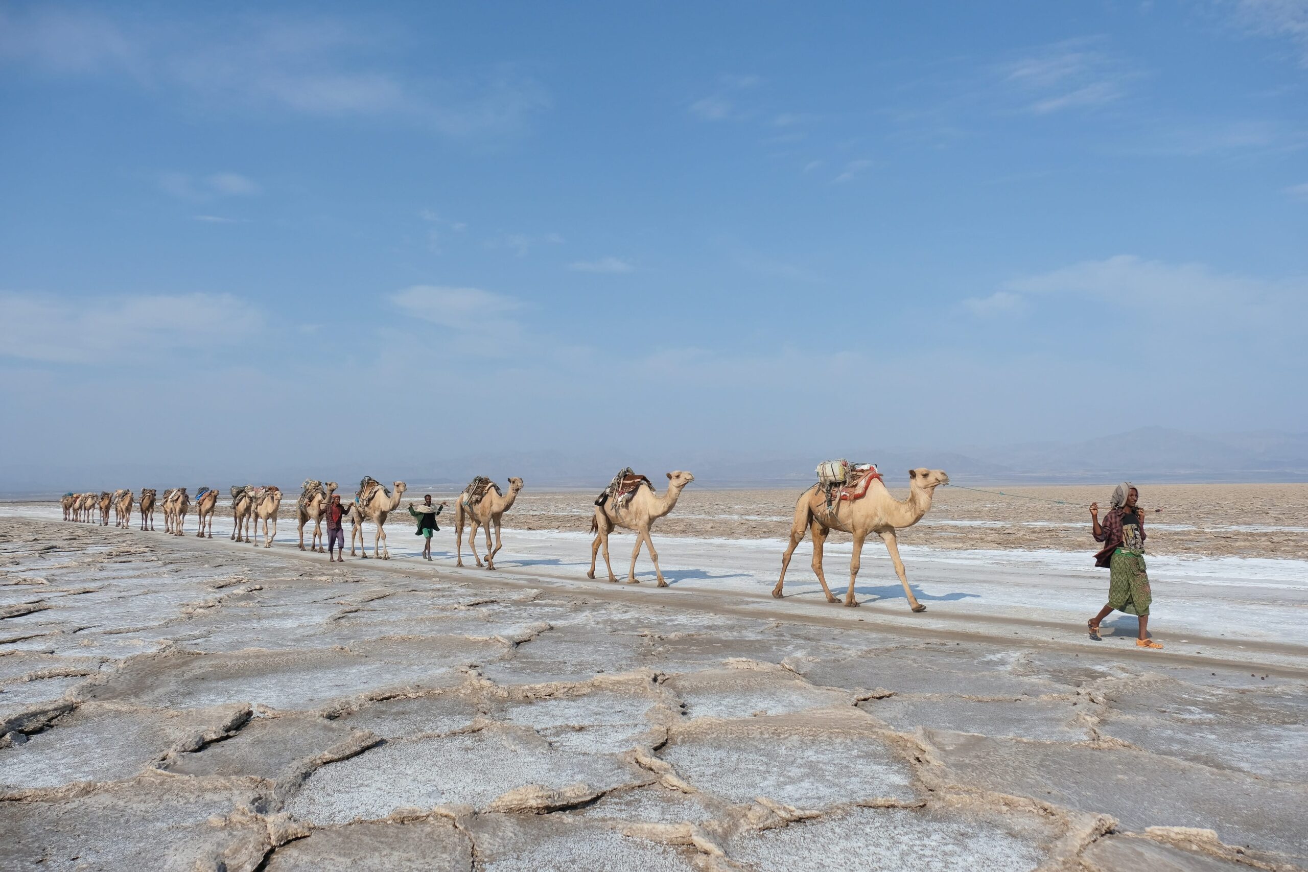 Ethiopia - Camels carry salt in Dancalia