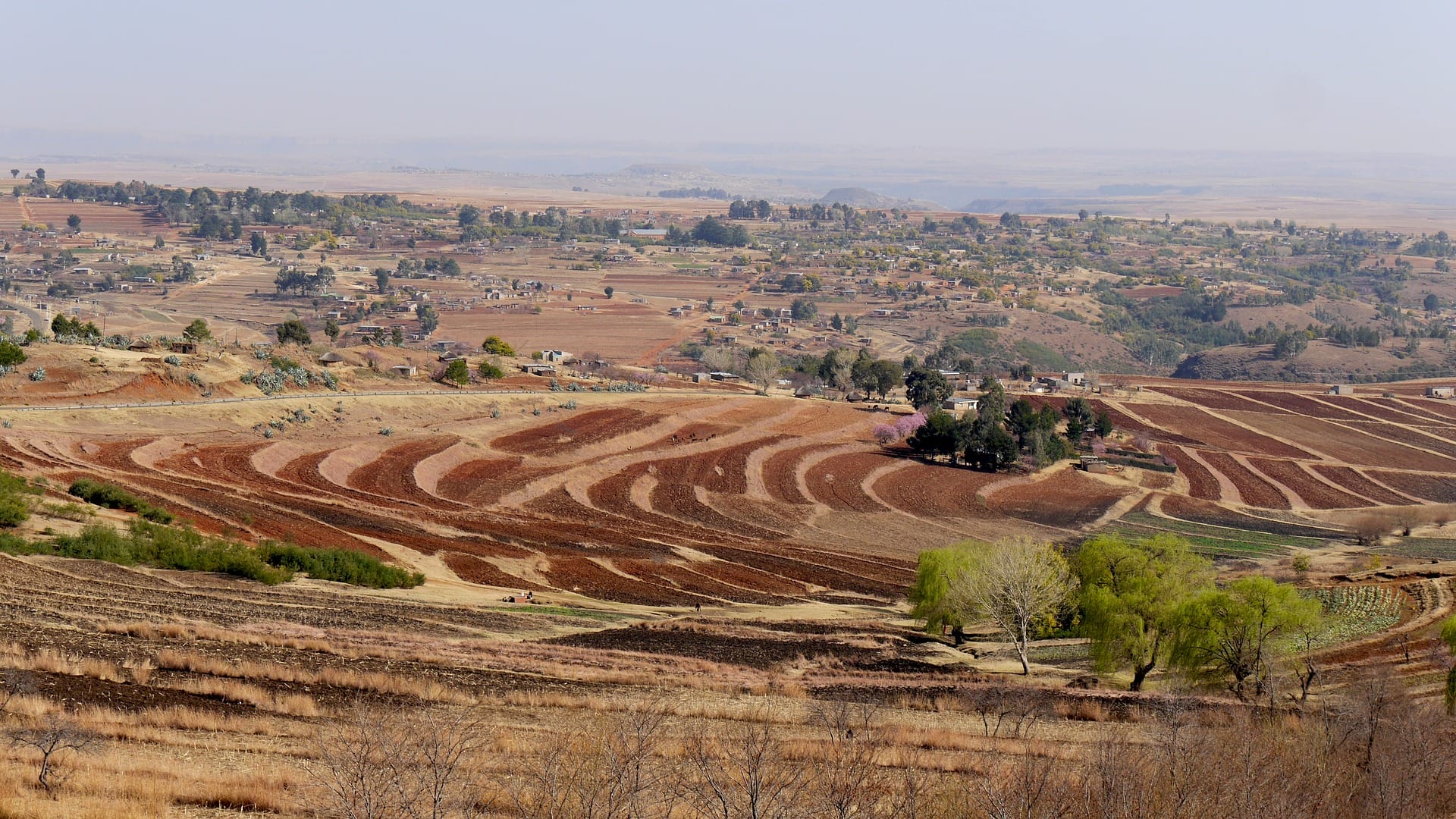 Lesotho (10)