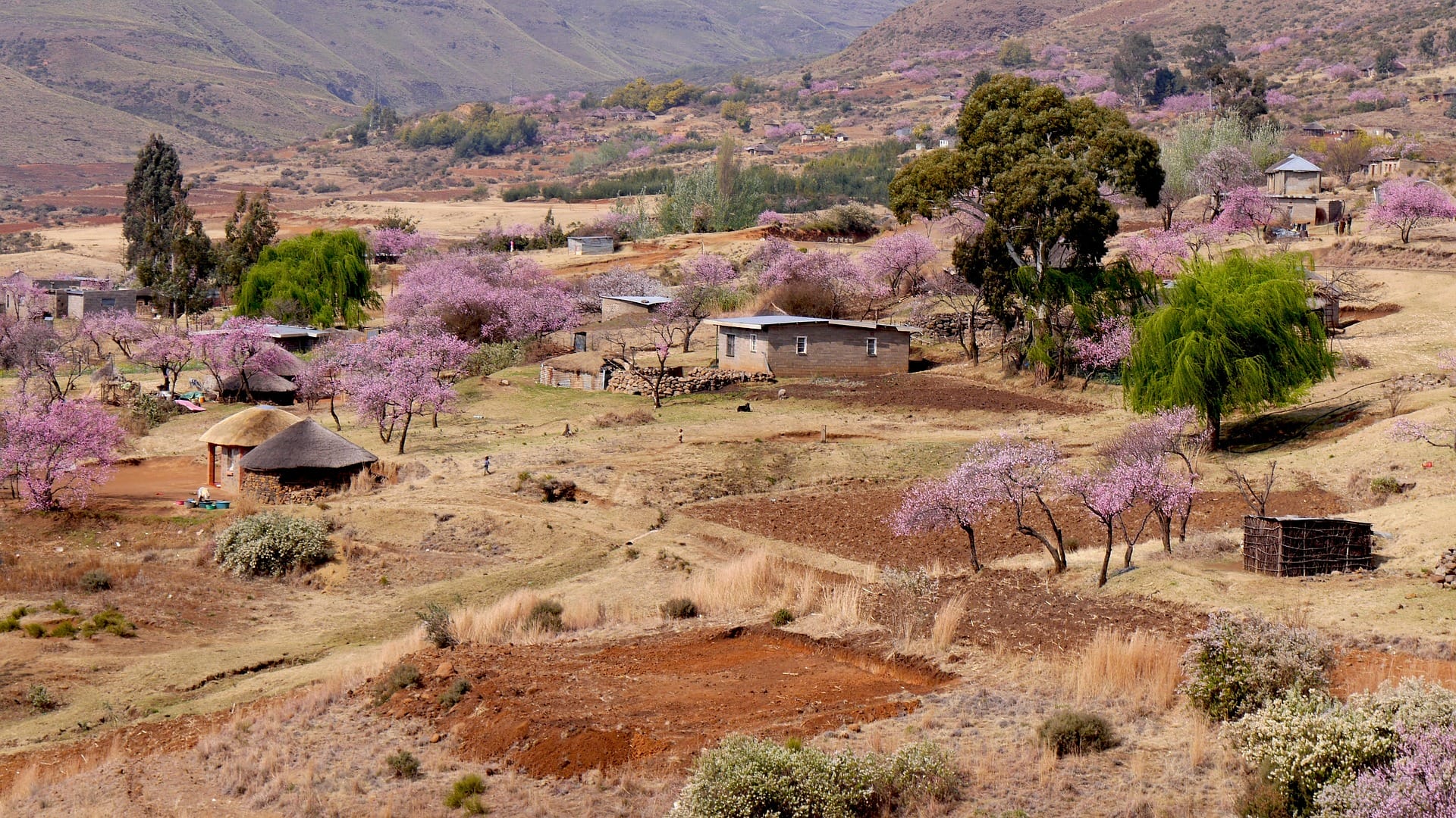 Lesotho (2)