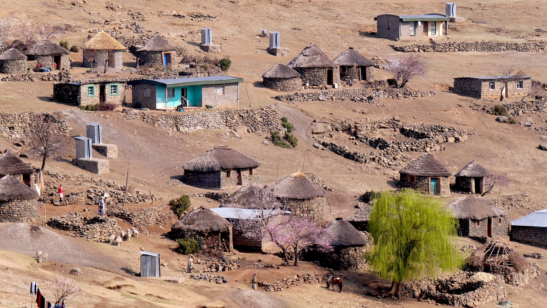 Lesotho (4)