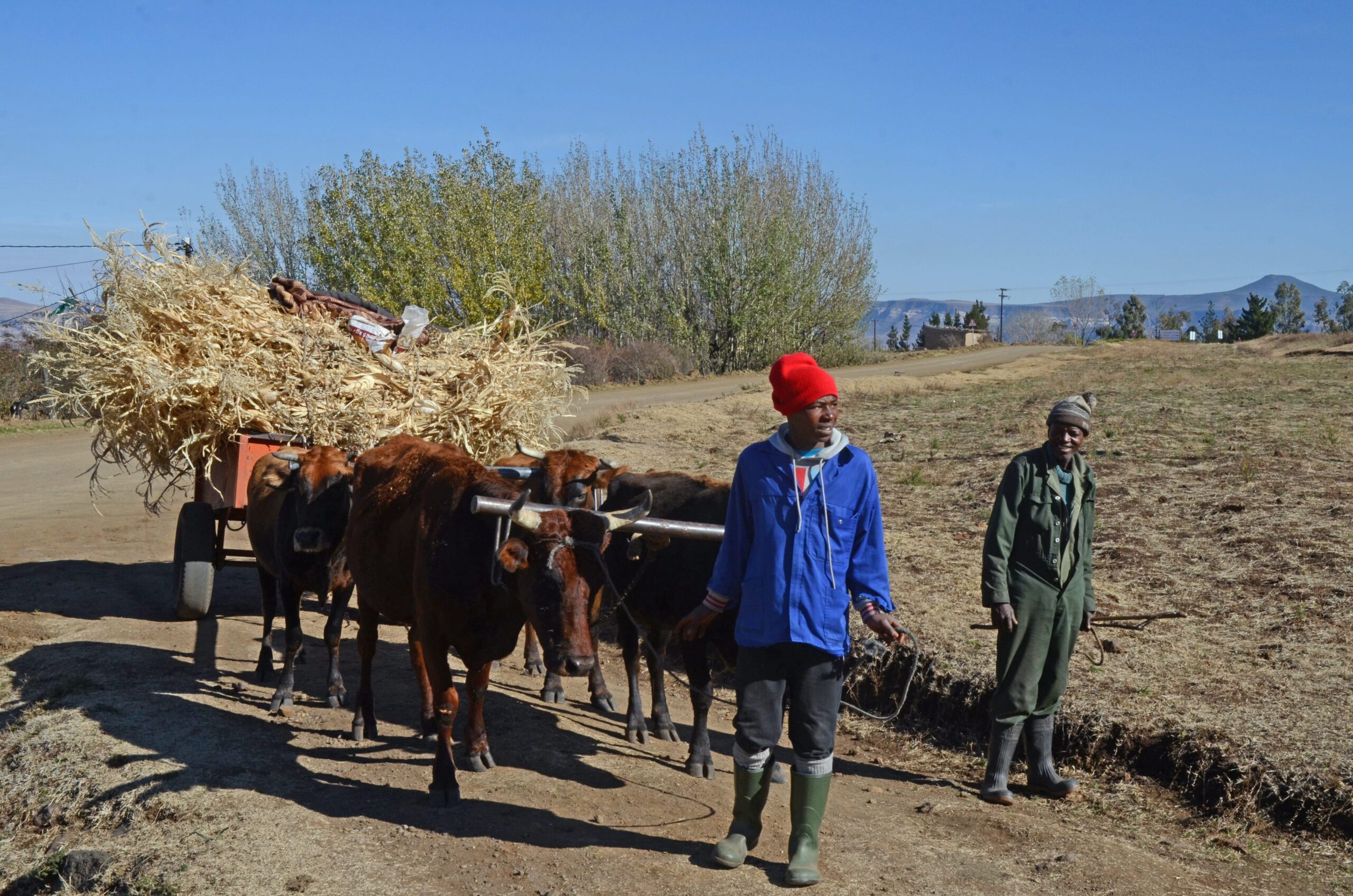 Matelile, Lesotho