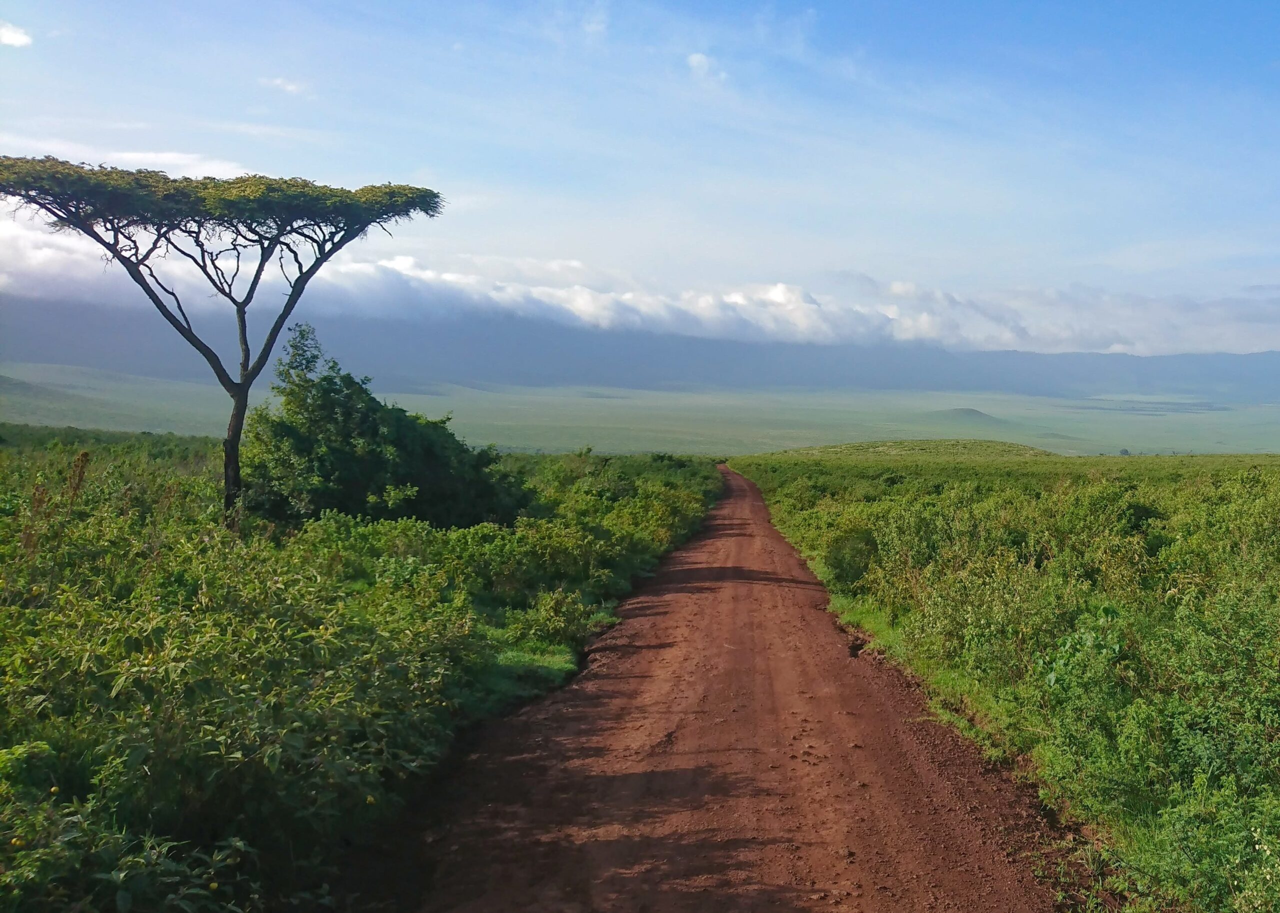 Ngorongoro Crater, Tanzania (1)