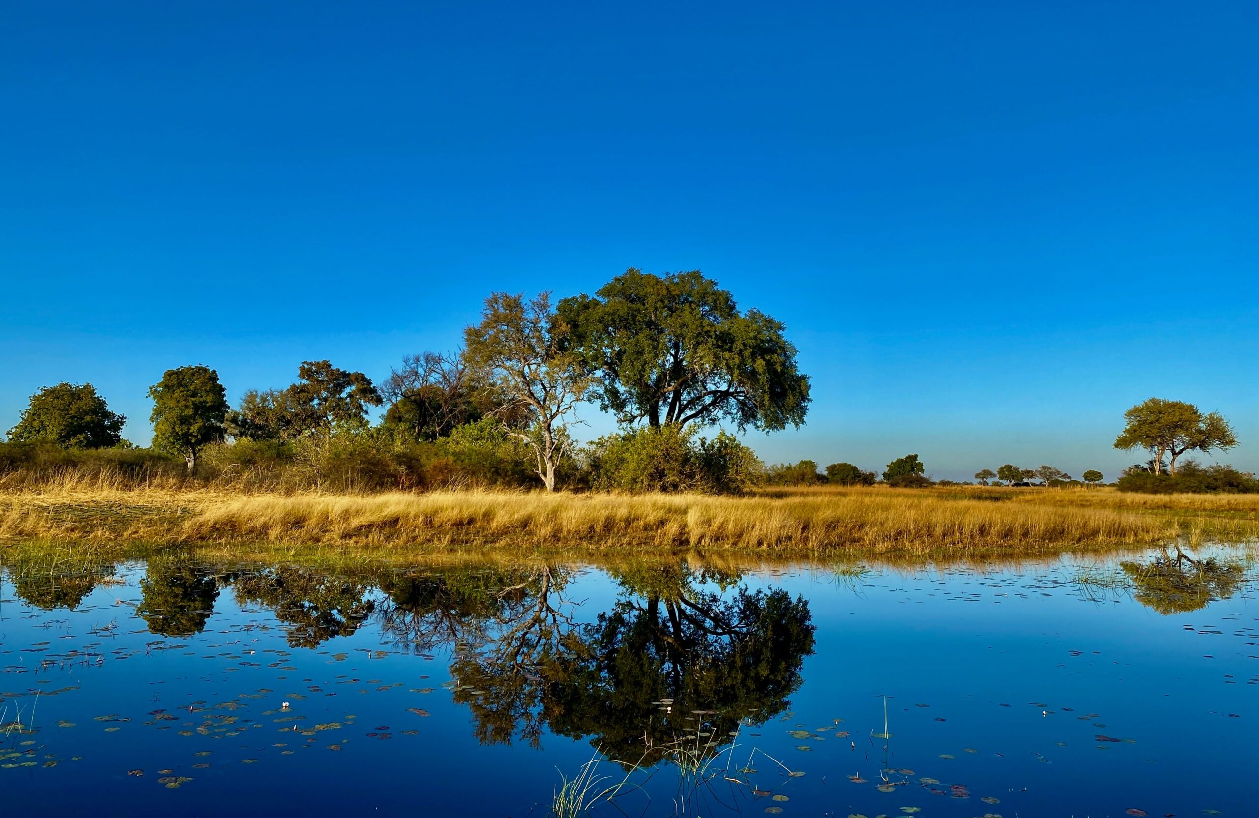 Okavango Delta, Botswana (2)