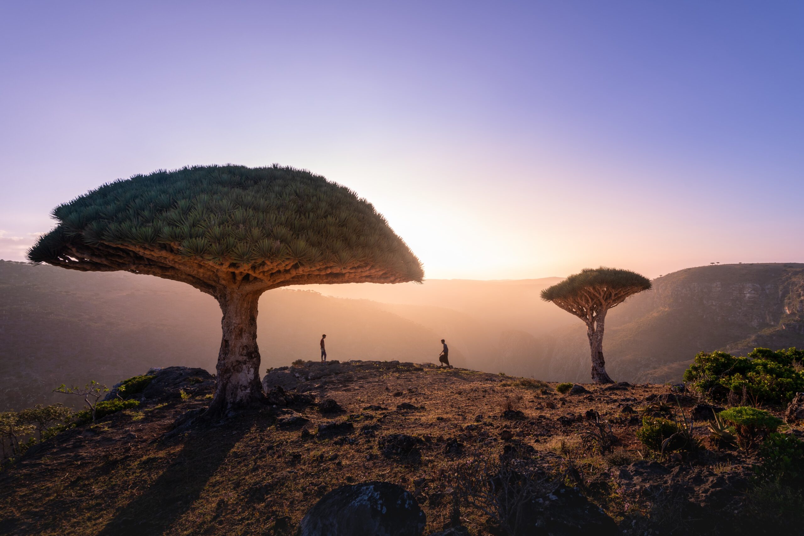 Socotra, Yemen (1)