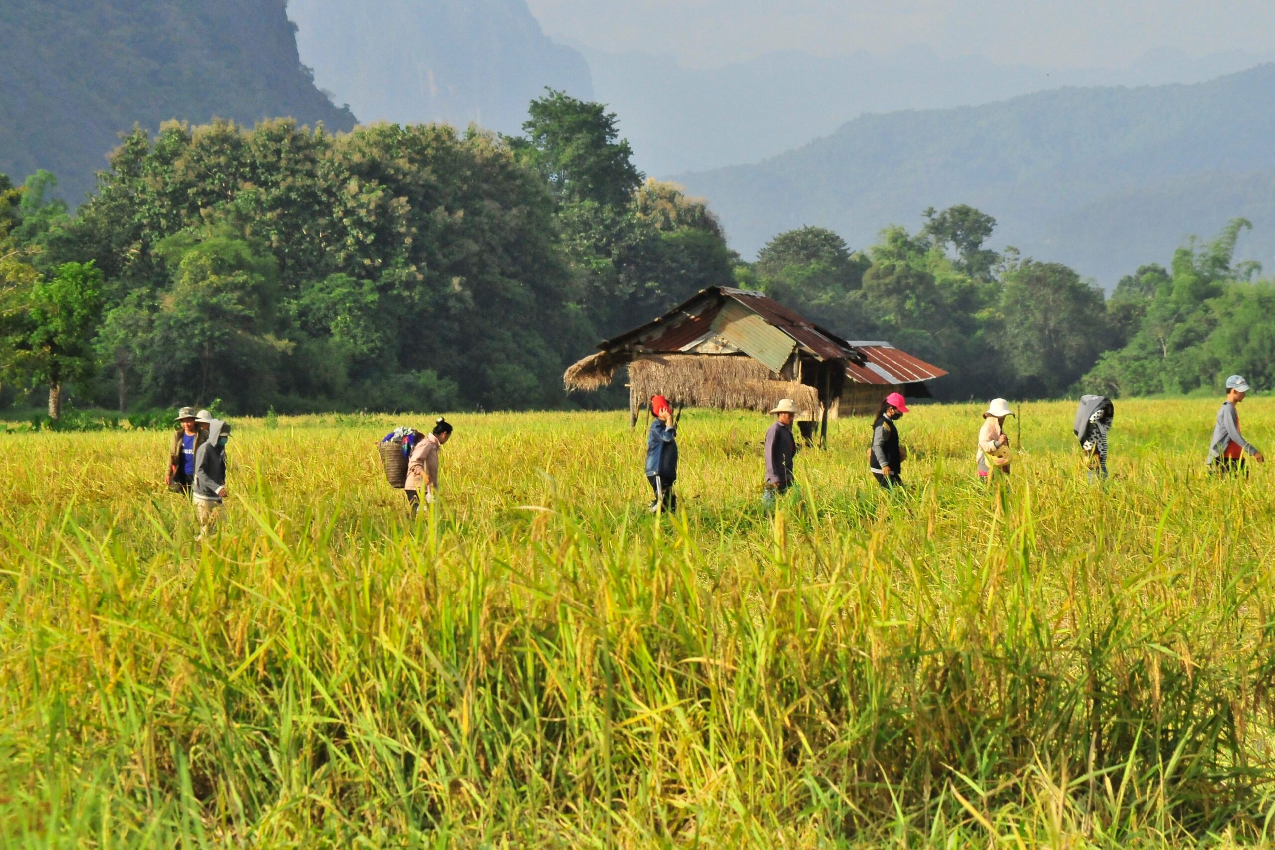 These people were returning home after a hard day's work on the field, Vang Vieng, Laos