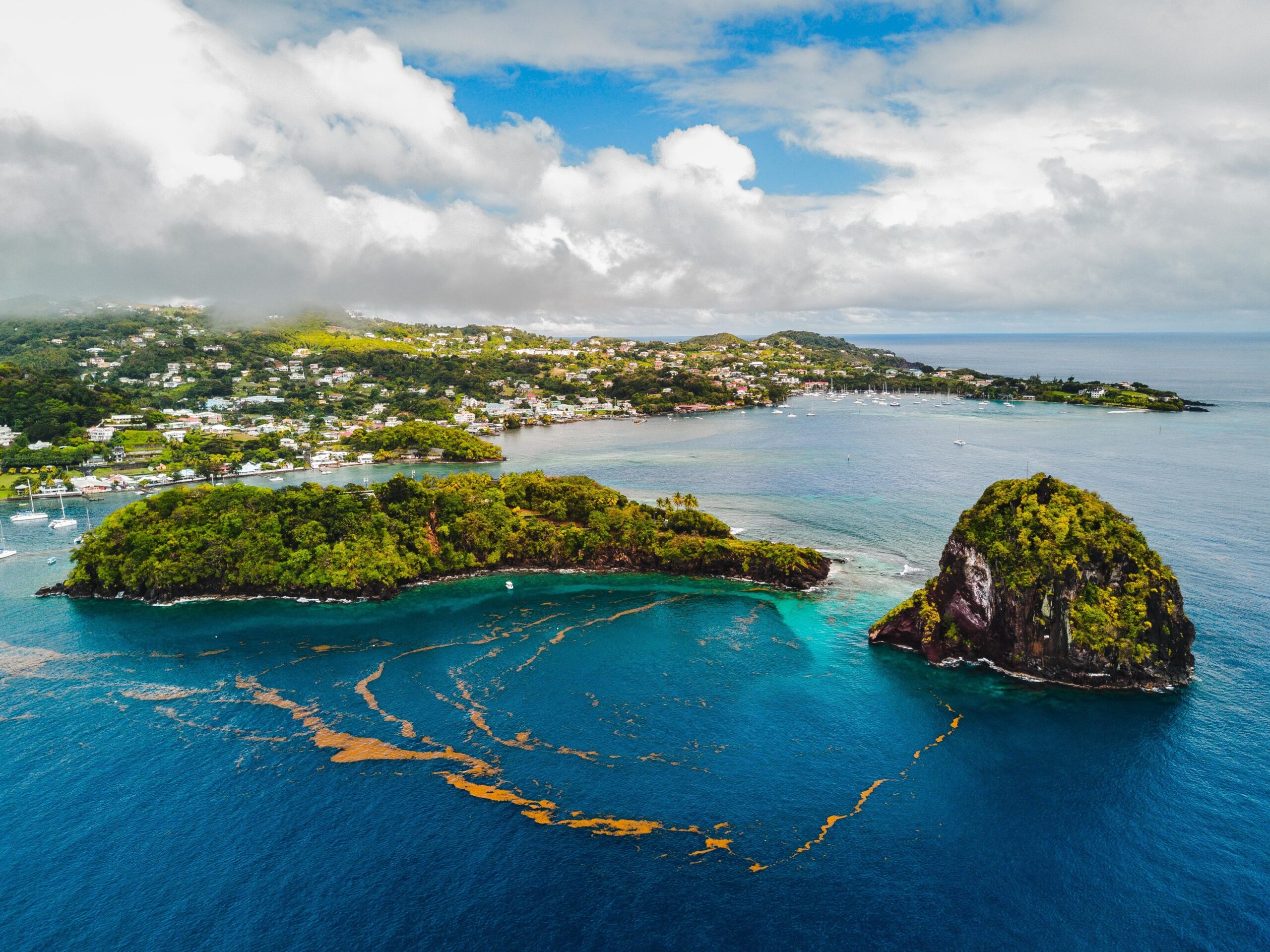 Young Island, Arnos Vale, Saint Vincent and the Grenadines